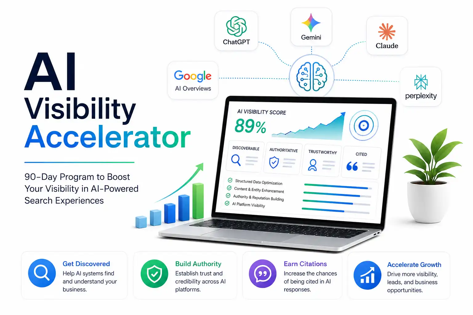 AI Accelerator 1